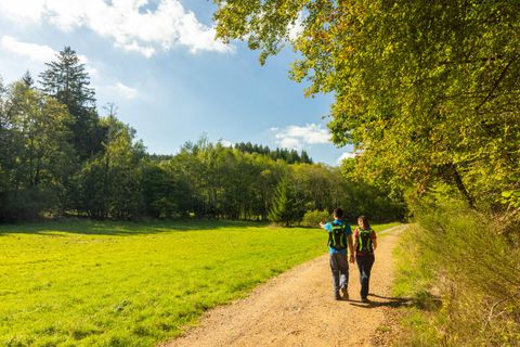 Two people are hiking on a bright path through a green landscape with trees. The sky is blue with some clouds.
