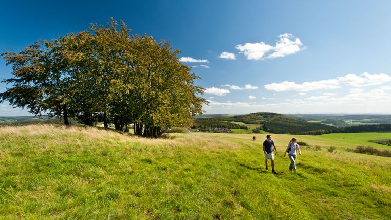 Deux personnes se promènent dans une prairie verdoyante avec des arbres en arrière-plan et une vue étendue sur le paysage.