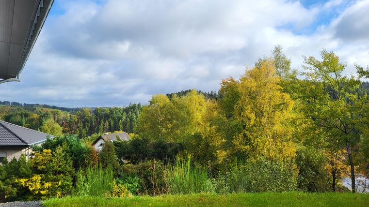 Een schilderachtig landschap met kleurrijke herfstbomen en een hemel vol wolken. Op de voorgrond is een groene tuin te zien.