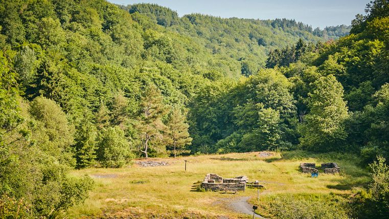 Vue sur les restes des murs des ruines dans la vallée du Kaulenbach. Une prairie verte et des arbres verts sont visibles tout autour.