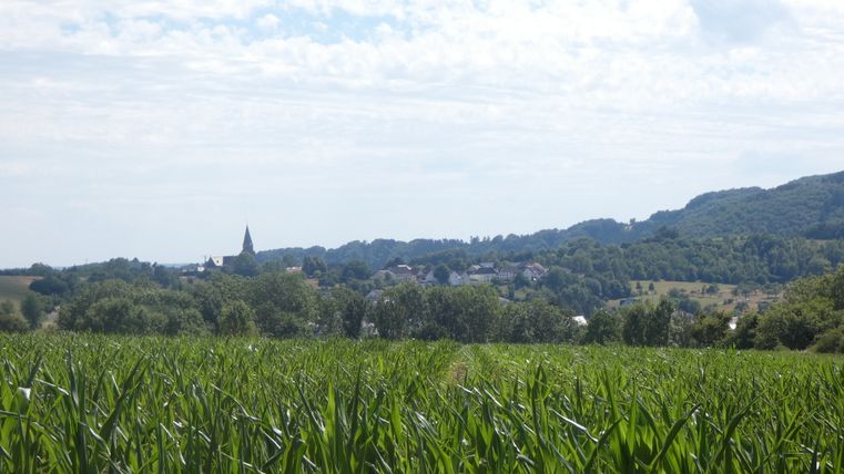 Landschaft mit Maisfeld im Vordergrund und Dorf mit Kirchturm im Hintergrund.