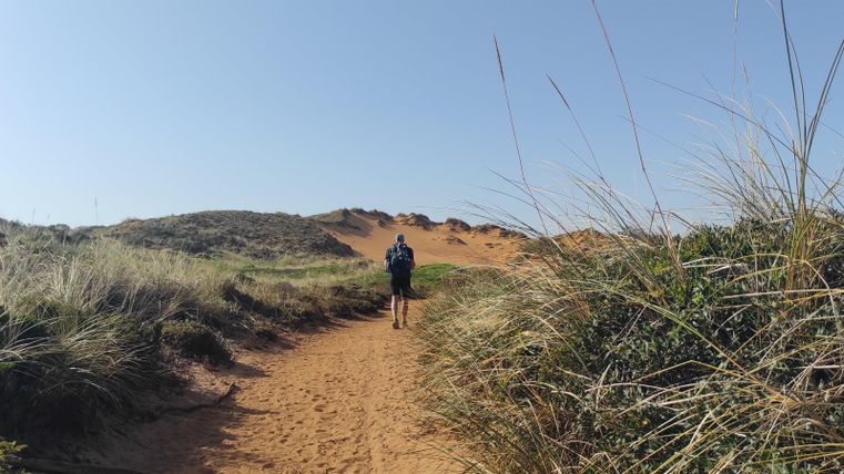 Ein Wanderer geht auf einem sandigen Weg durch eine grüne Landschaft. Im Hintergrund sind sanfte Hügel und blauer Himmel zu sehen.