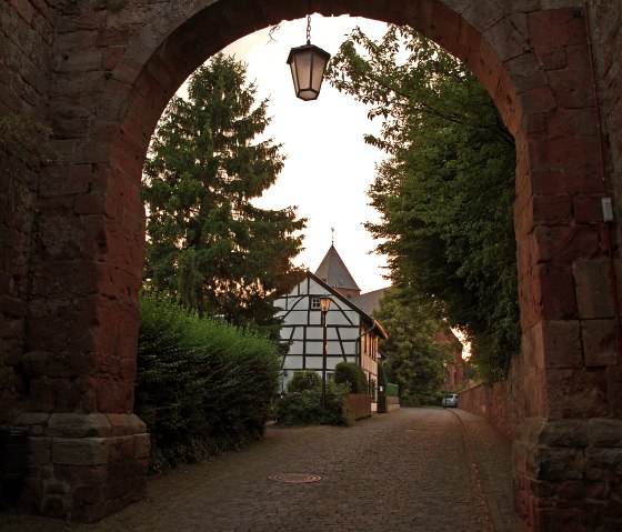 Montée au château de Nideggen