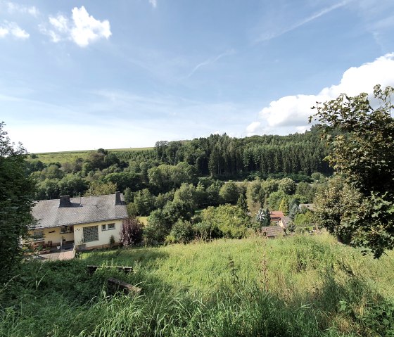 Paysage verdoyant avec une maison au premier plan, entourée d'arbres et de collines sous un ciel bleu avec quelques nuages., © Tourist-Information Bitburger Land