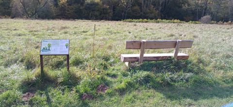 A wooden bench and an information sign on a meadow in the Southern Eifel Nature Park.