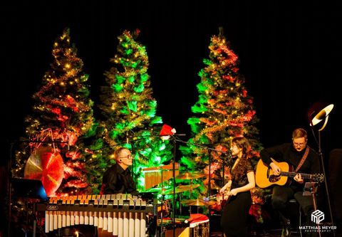 Een muzikale uitvoering met drie artiesten op het podium. Op de achtergrond staan feestelijk versierde kerstbomen.