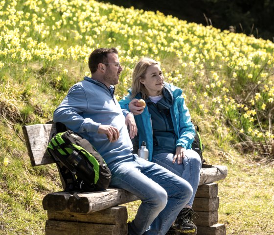 Rest in the midst of blooming daffodils, © Städteregion Aachen, Dominik Ketz