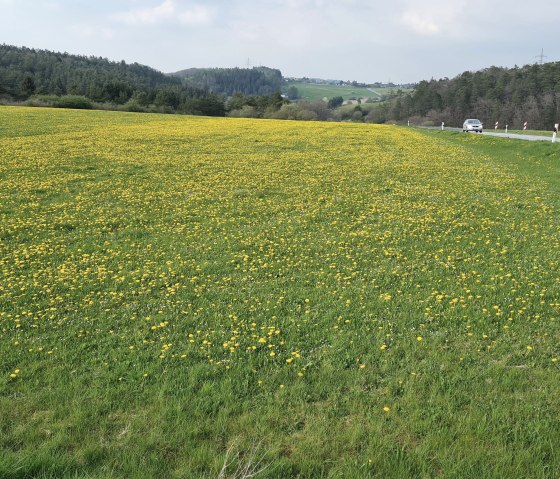Vue sur Nohn