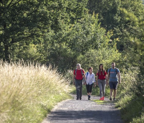 Randonneurs dans la nature, © Kappest/Vulkanregion Laacher See