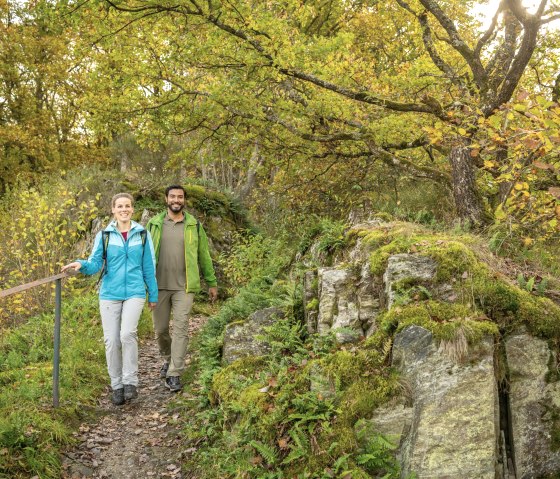 Wildnis-Trail Tronçon 1, © Eifel Tourismus GmbH, Dominik Ketz