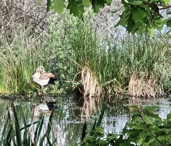 Vogelparadies