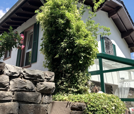 Blick Bratenöfchen Wintergarten