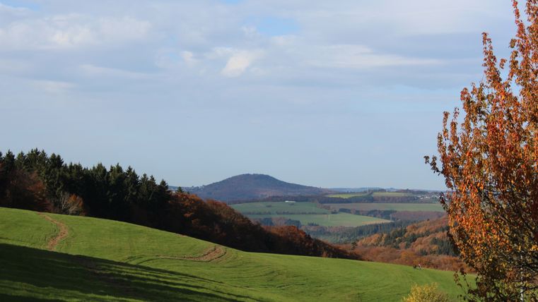 Landschap met groene weiden, bomen en een heuvel op de achtergrond onder een blauwe lucht.
