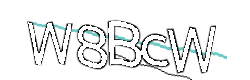 Enter the character string shown in the picture